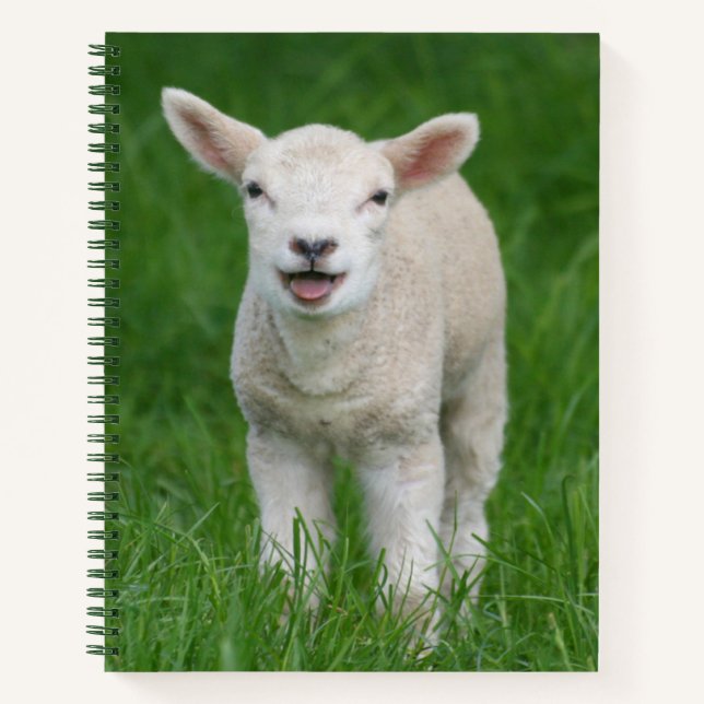 Carnet Animaux de bébés cutest | Lil Lamb (Devant)