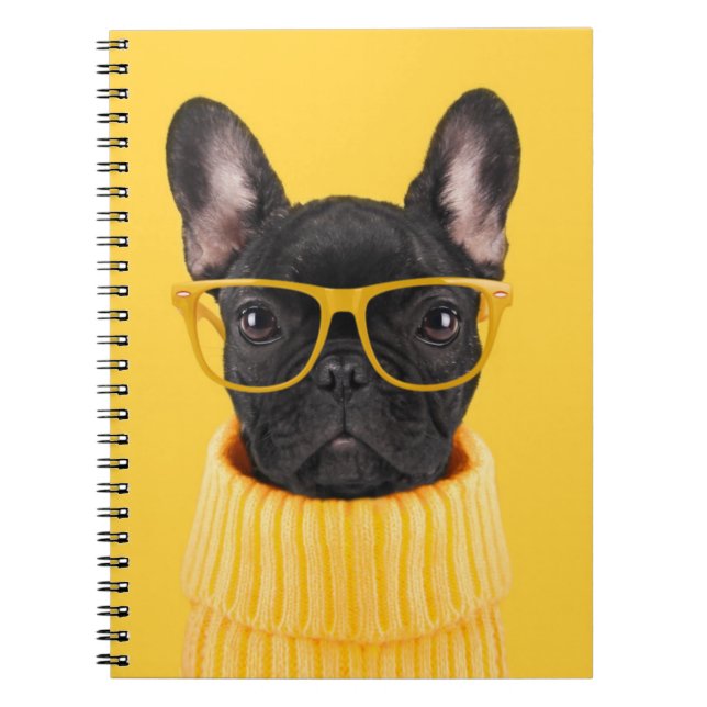 Carnet Animaux de bébés cutest | Lunettes de soleil pour  (Devant)