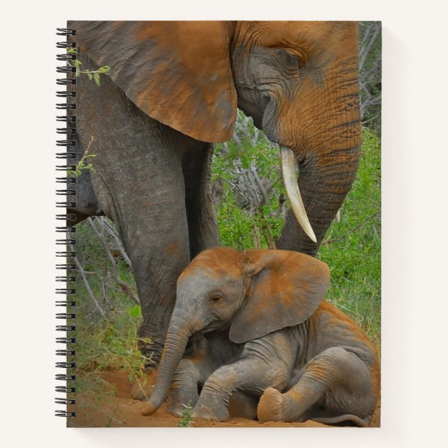Carnet Animaux de bébés cutest | Mama Elephant & Baby (Devant)