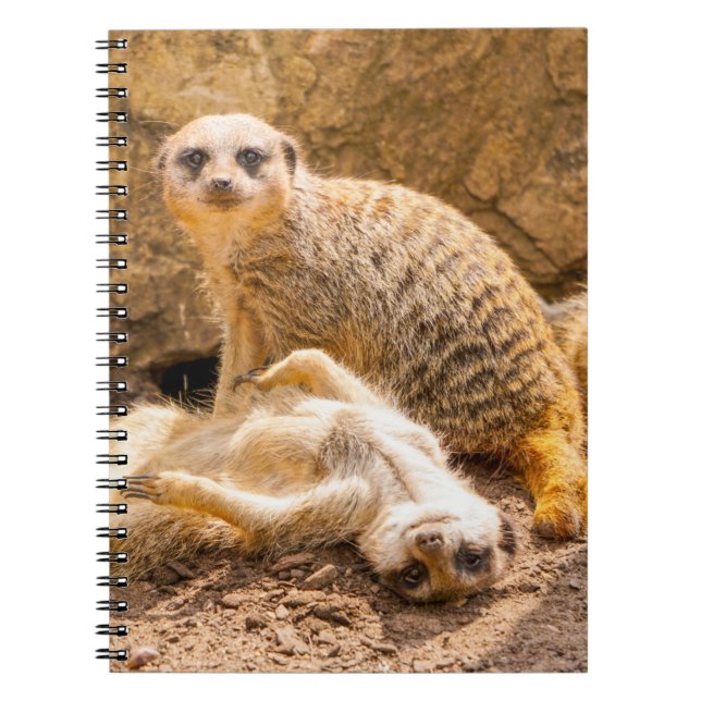 Carnet Animaux de bébés cutest | Meerkats joueurs (Devant)