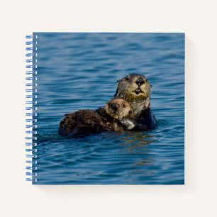 Carnet Animaux de bébés cutest Mère & Bébé Sea Otter