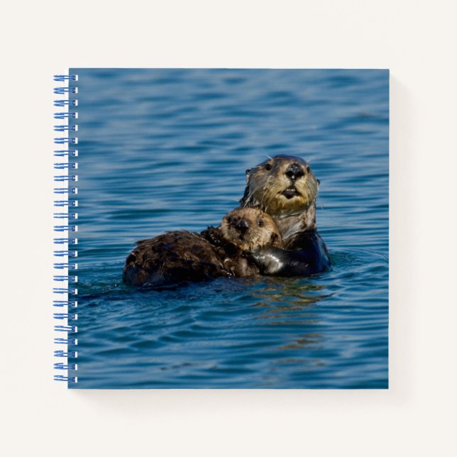 Carnet Animaux de bébés cutest | Mère & Bébé Sea Otter (Devant)