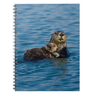 Carnet Animaux de bébés cutest Mère & Bébé Sea Otter