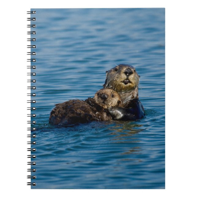 Carnet Animaux de bébés cutest | Mère & Bébé Sea Otter (Devant)