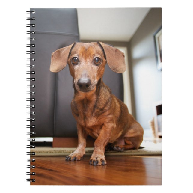 Carnet Animaux de bébés cutest | Mini chiot (Devant)