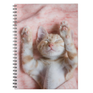 Carnet Animaux de bébés cutest   Minuscule chaton rayé or