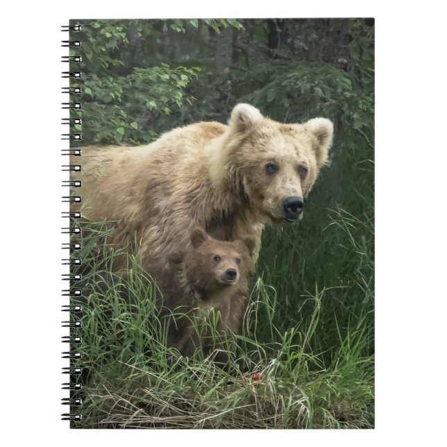 Carnet Animaux de bébés cutest | Ours Mama Ours et ses pe (Devant)