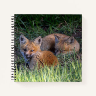 Carnet Animaux de bébés cutest Paire de frères et soeur