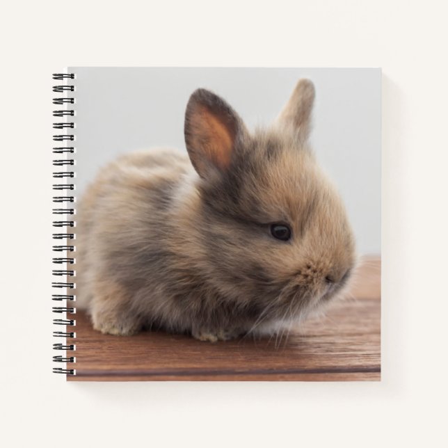 Carnet Animaux de bébés cutest | Petit lapin bébé (Devant)
