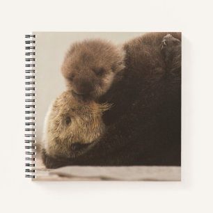 Carnet Animaux de bébés cutest Pompe Otter nouveau-né
