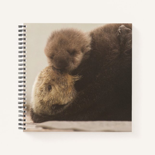 Carnet Animaux de bébés cutest | Pompe Otter nouveau-né (Devant)
