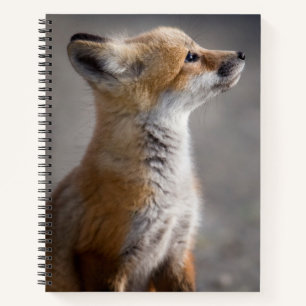 Carnet Animaux de bébés cutest Portrait Baby Fox
