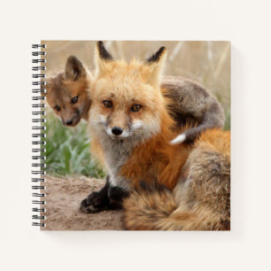 Carnet Animaux de bébés cutest   Renard rouge et bébé