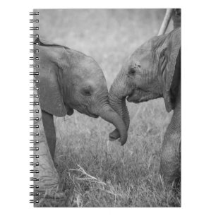 Carnet Animaux de bébés cutest Salutation des éléphants