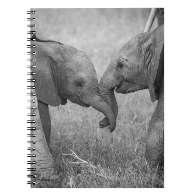 Carnet Animaux de bébés cutest | Salutation des éléphants (Devant)