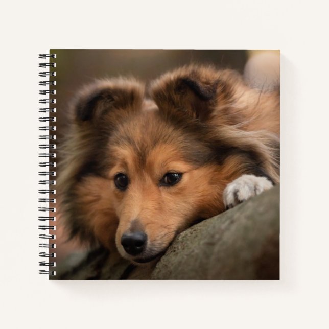 Carnet Animaux de bébés cutest | Shetland Sheepdog Puppy (Devant)