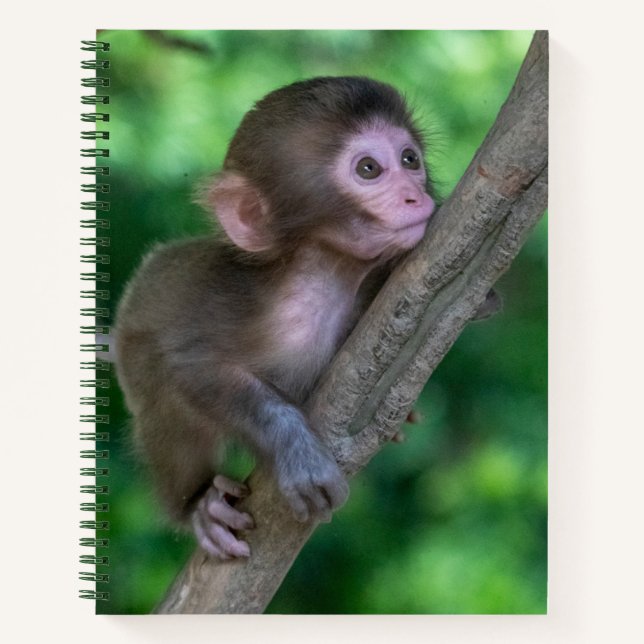 Carnet Animaux de bébés cutest | Singe bébé (Devant)