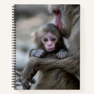 Carnet Animaux de bébés cutest Singe et bébé japonais