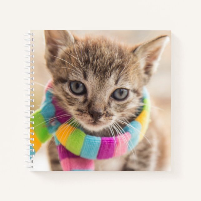 Carnet Animaux de bébés cutest | Tabby Kitten Écharpe arc (Devant)