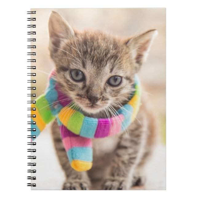 Carnet Animaux de bébés cutest | Tabby Kitten Écharpe arc (Devant)