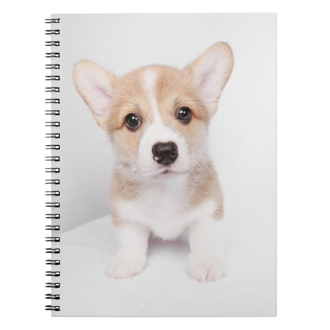Carnet Animaux de bébés cutest | Tiny Corgi (Devant)