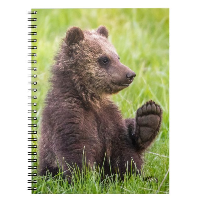 Carnet Animaux de bébés cutest | Vague d'ours Brown (Devant)
