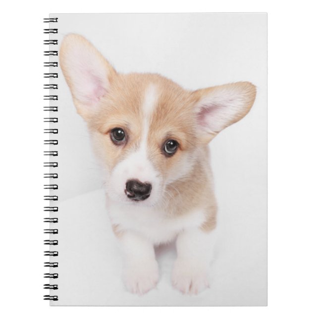 Carnet Animaux de bébés cutest | Young Corgi Puppy (Devant)