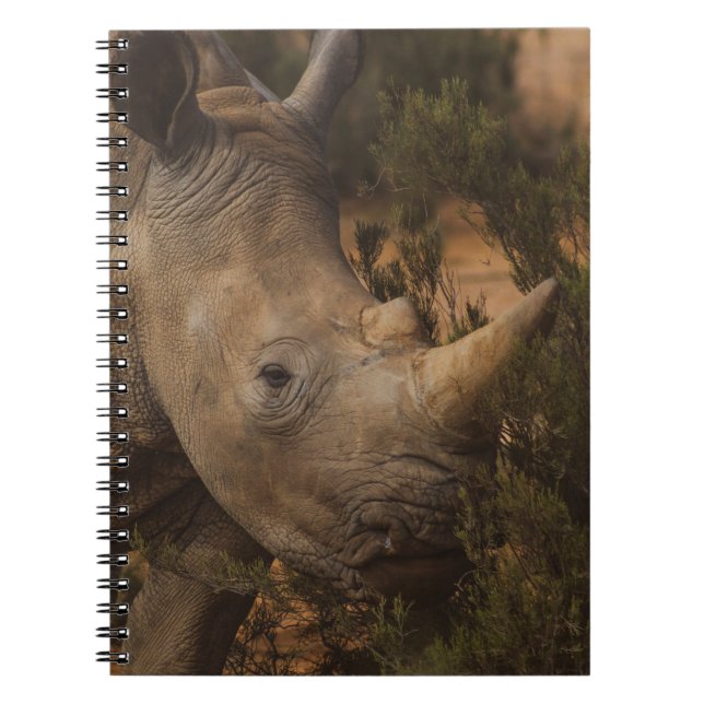 CARNET ANIMAUX SAUVAGES RHINO (Devant)