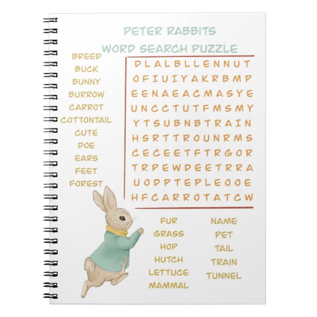 Carnet Anniversaire et jeu pour enfants de Peter Rabbit (Devant)