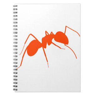 Carnet Ant orange