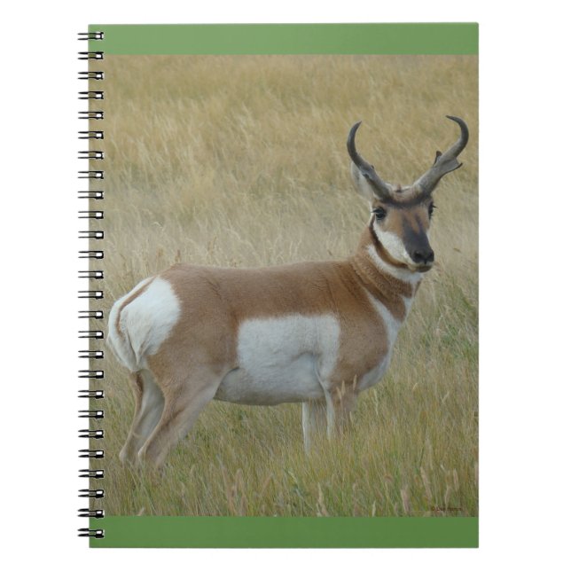 Carnet Antilope d'Amérique A1 Grand Buck (Devant)