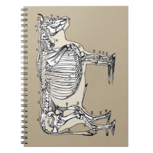 Carnet Antique Cow Skeleton Bones