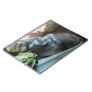 Carnet Ape hood ~ Japonais Gorilla Manger