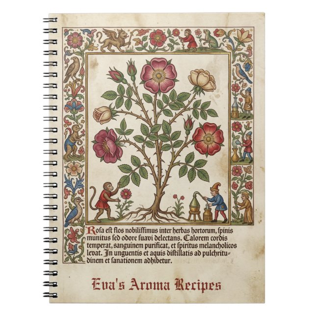 Carnet Apothicaire Illuminé Rose Médiévale (Devant)