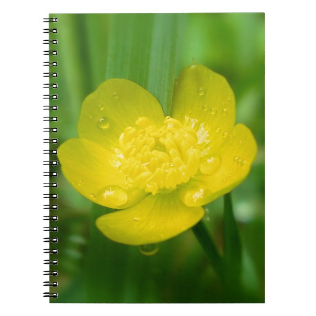 Carnet Appalachian Buttercup Notebook (Devant)