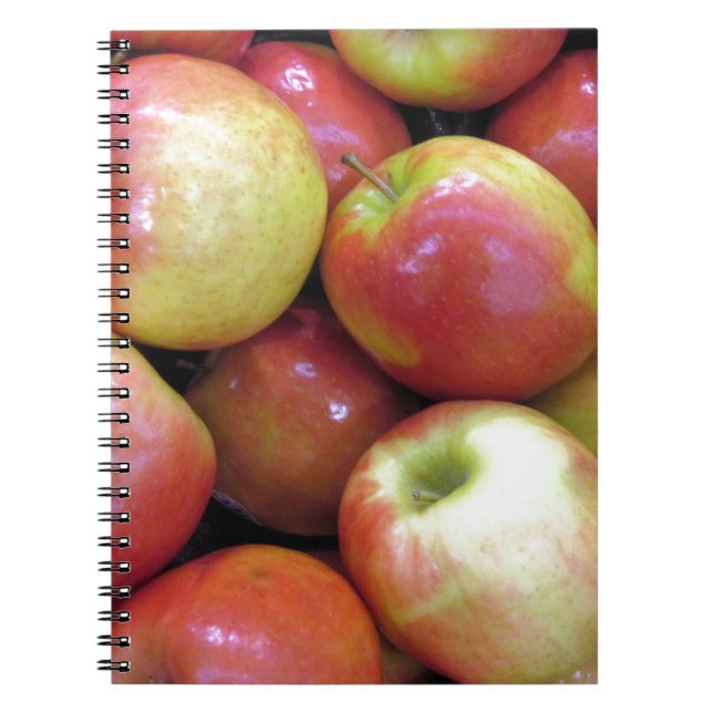 Carnet Apples (Devant)