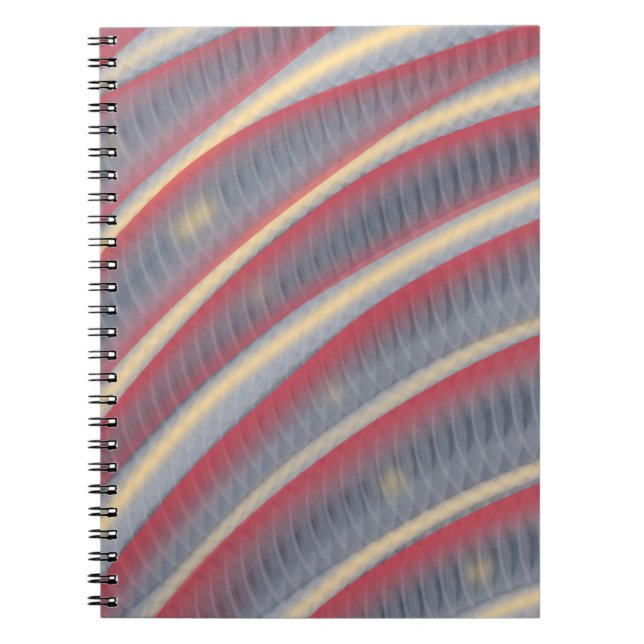 Carnet Après le serpent (Devant)