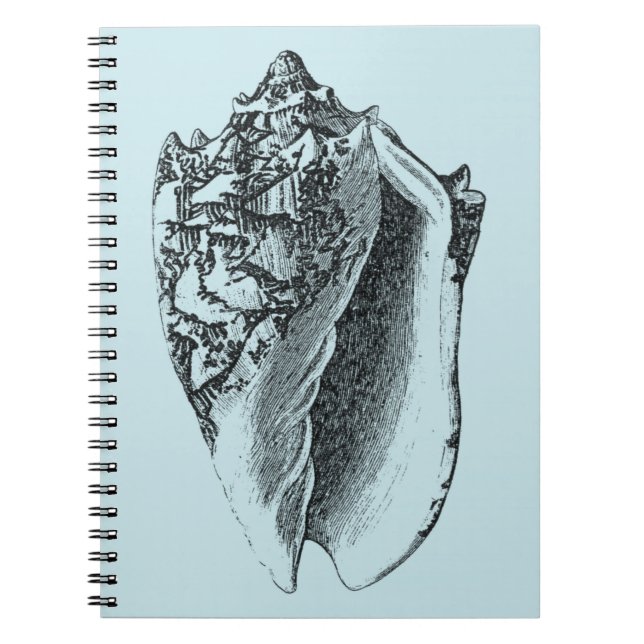 Carnet Aqua Conch Shell (Devant)