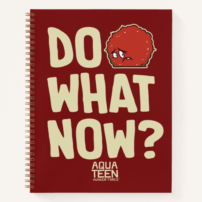 Carnet Aqua Teen Hunger Force Meatwad "Do What Now?" (Devant)