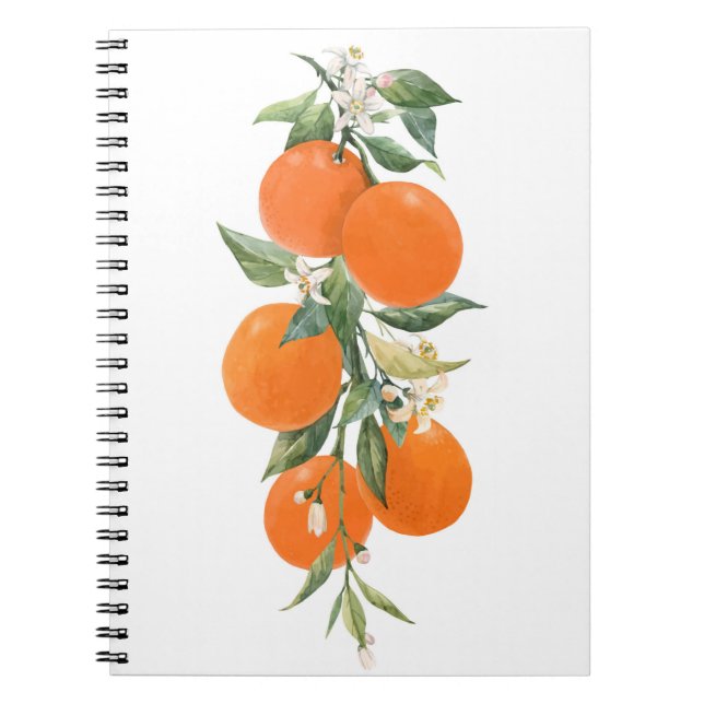 Carnet Aquarelle agrumes citrons orange citron (Devant)