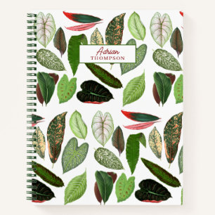 Carnet Aquarelle botanique Vintage verdure Feuilles
