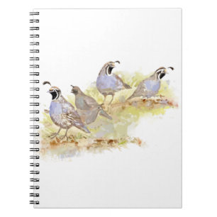 Carnet Aquarelle Californie Quail Bird Nature Art