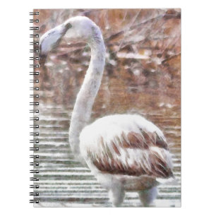 Carnet Aquarelle de Flamant rose exotique