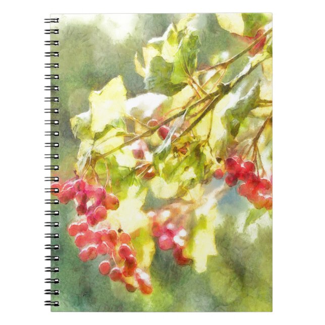 Carnet Aquarelle des baies d'hiver (Devant)