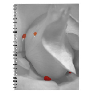 Carnet Aquarelle Éolienne