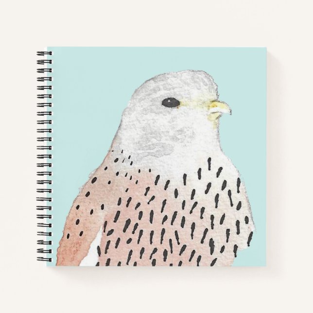 Carnet Aquarelle Falcon Kestrel (Devant)