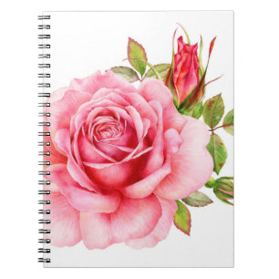 Carnet Aquarelle illustration d'une rose rose wi délicate