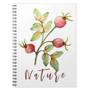 Carnet Aquarelle rose hanches