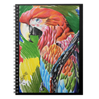 Carnet Ara Écarlate Brésilien - Art Animalier Dessiné à l