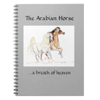 Carnet Arabe de cheval